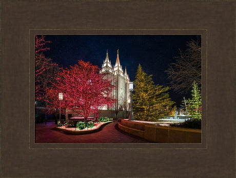 Salt Lake Temple - Christmas Pathway by Lance Bertola