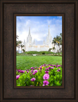 San Diego California by Lance Bertola