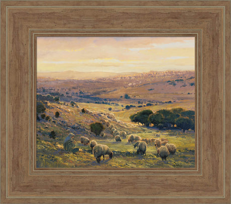 Shepherd's Field by Linda Curley Christensen