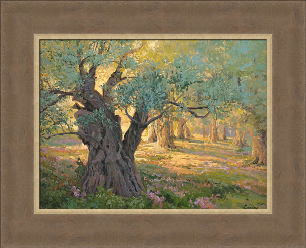 Olive trees in the garden of Gethsemane with light shinning through. Art 18