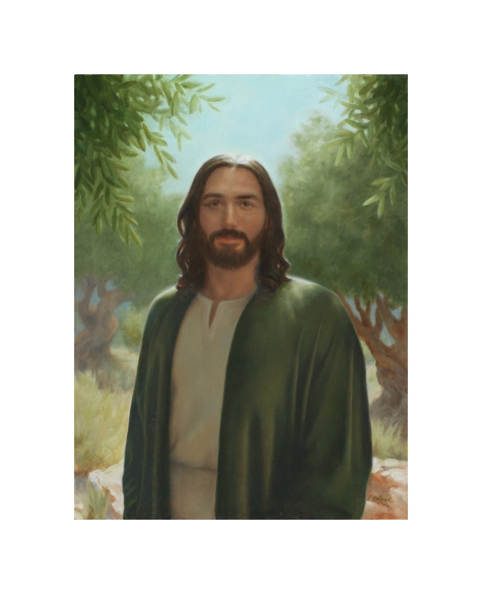 Master of the Vineyard