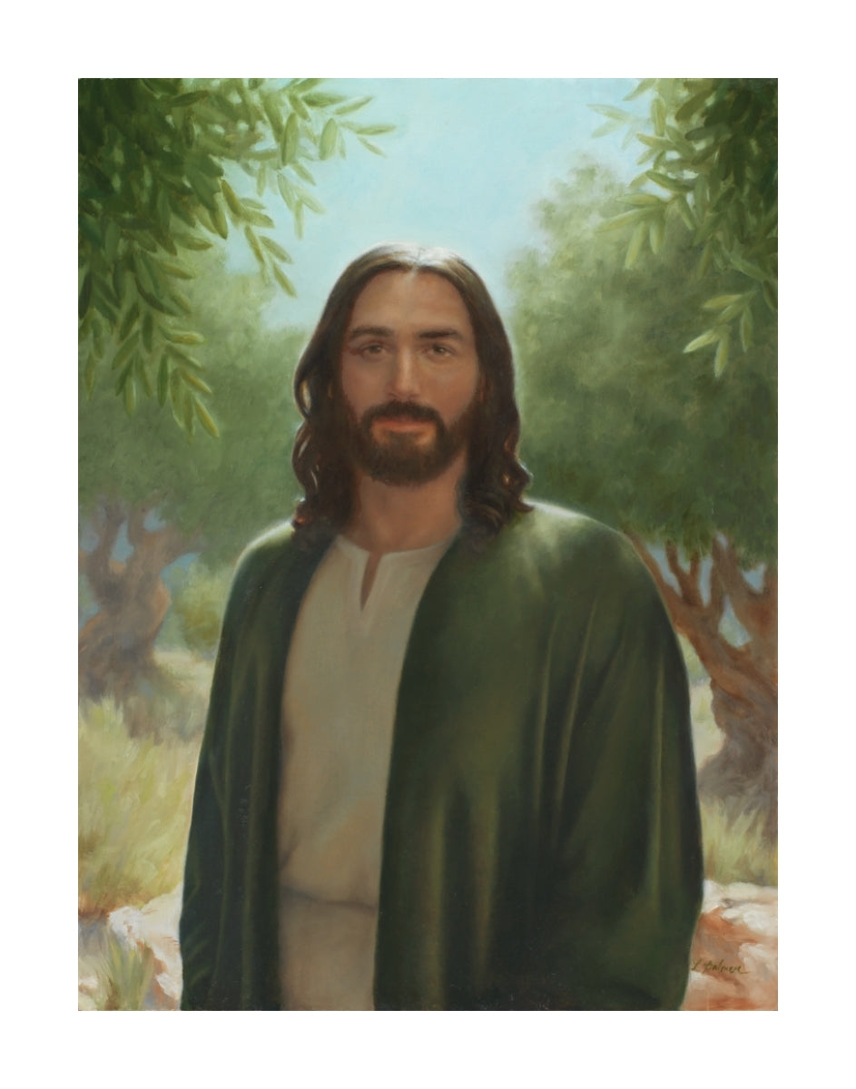 Master of the Vineyard