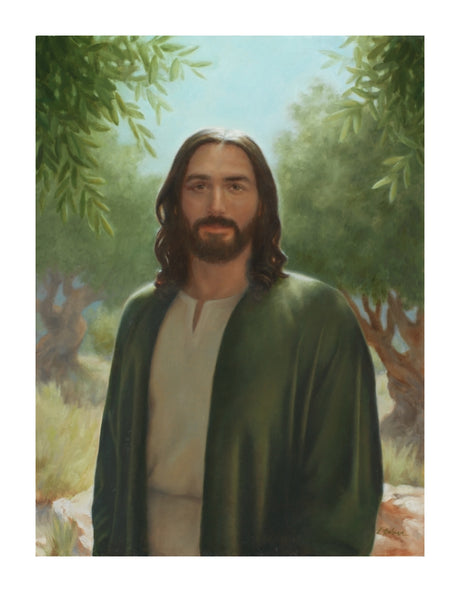 Master of the Vineyard