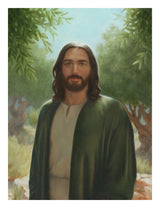 Master of the Vineyard