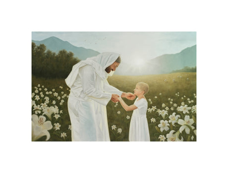 Consider the Lilies