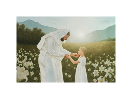 Consider the Lilies
