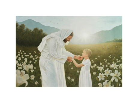 Consider the Lilies