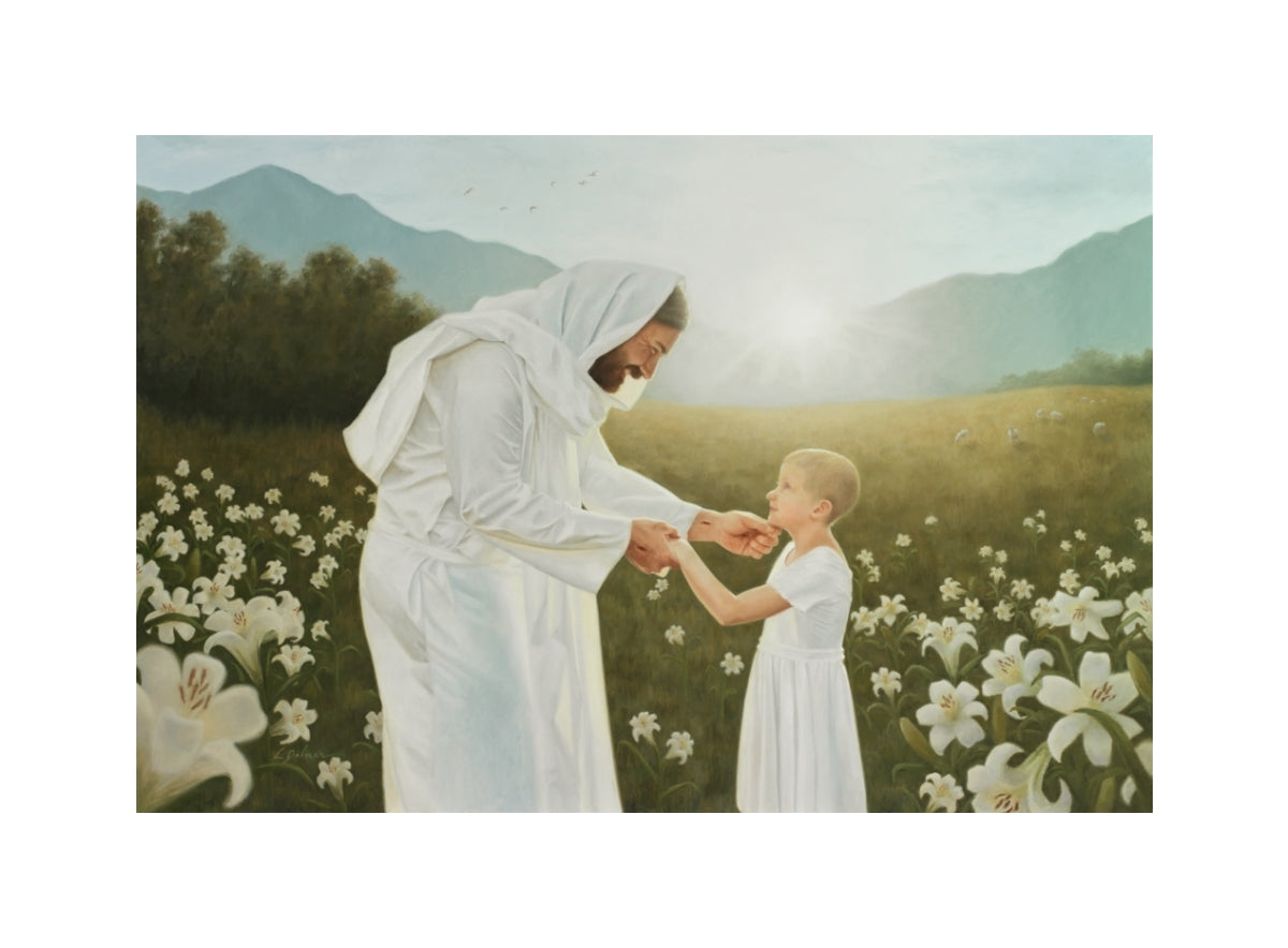 Consider the Lilies