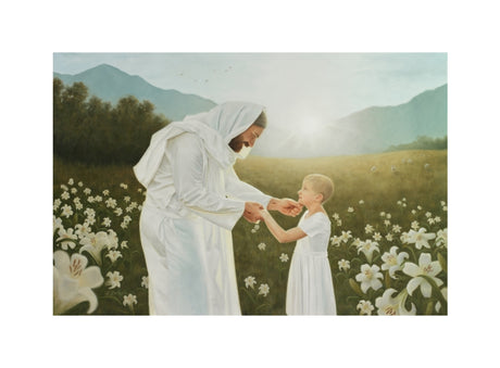 Consider the Lilies