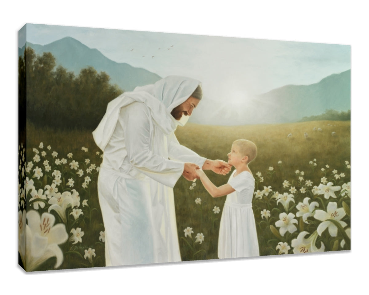 Consider the Lilies