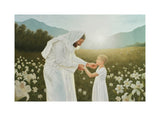 Consider the Lilies