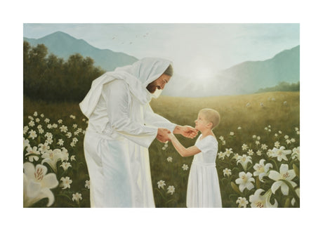 Consider the Lilies