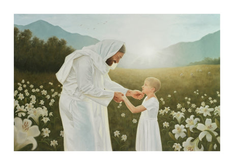 Consider the Lilies