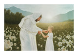Consider the Lilies