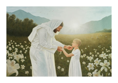 Consider the Lilies