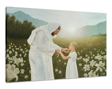 Consider the Lilies
