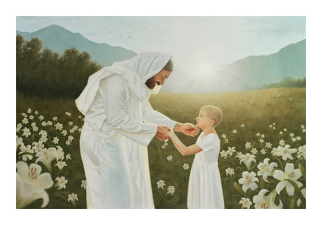Consider the Lilies