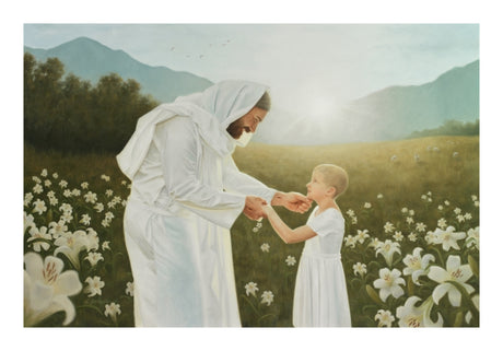 Consider the Lilies
