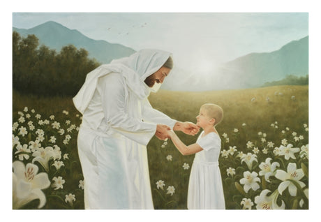 Consider the Lilies