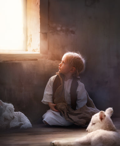 A child surrounded by lambs looks toward the light coming through the window.