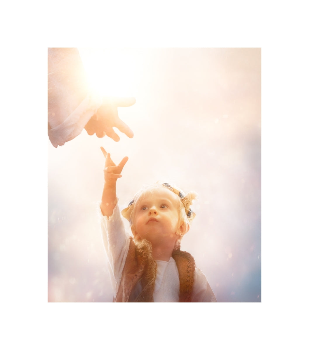 Heaven's Reach