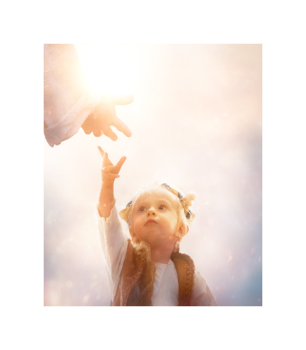 Heaven's Reach