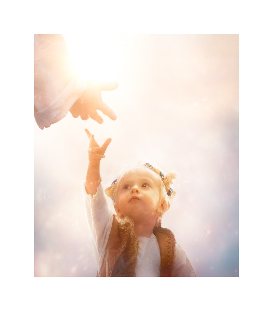 Heaven's Reach