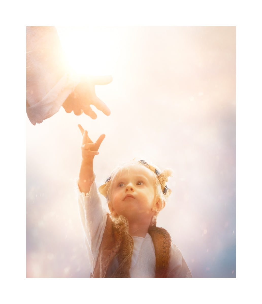Heaven's Reach