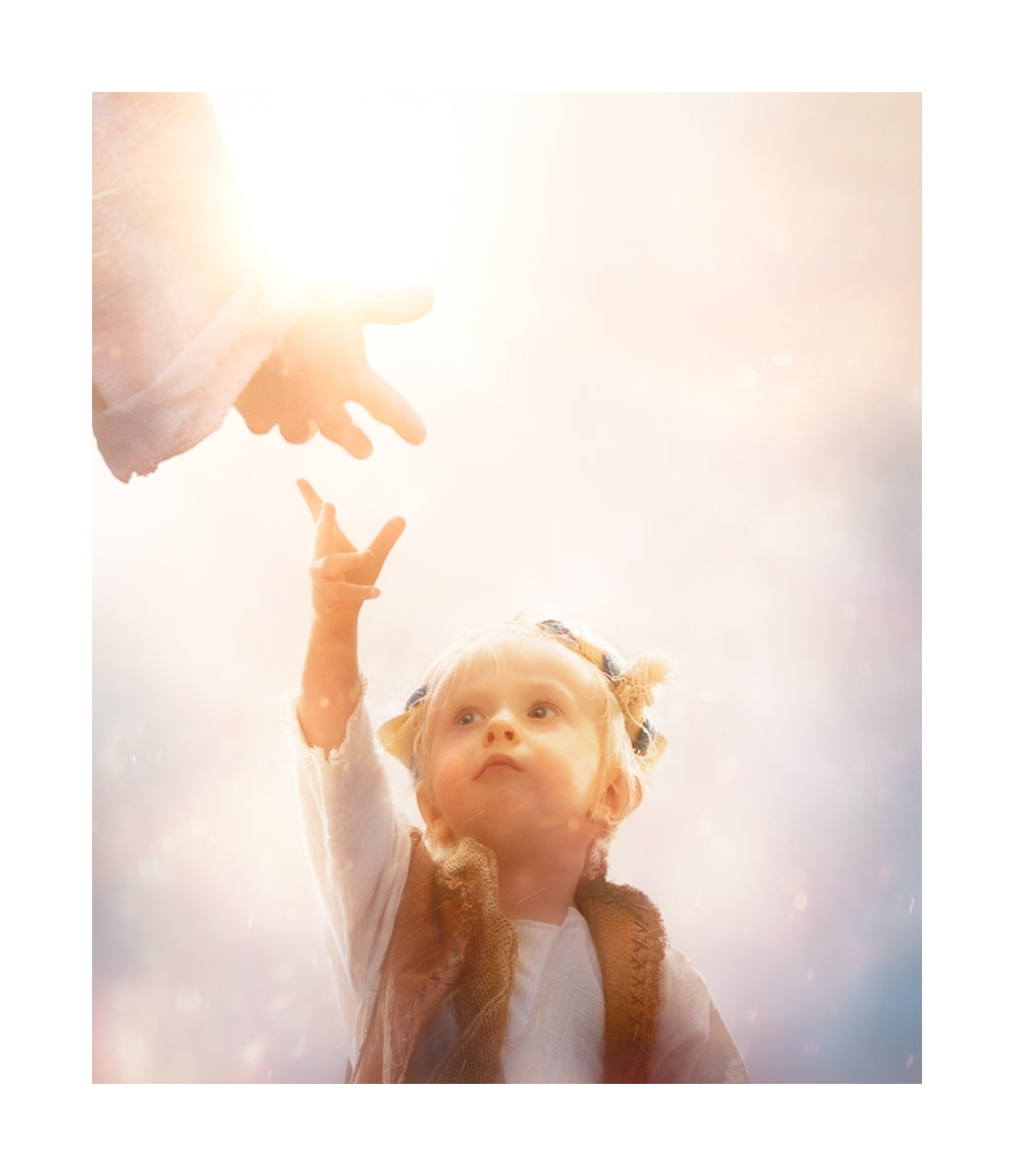 Heaven's Reach