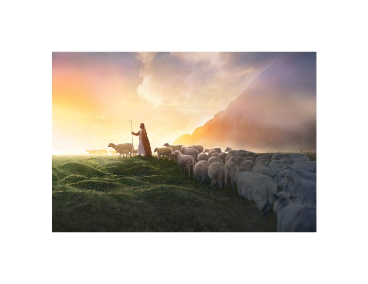 Greener Pastures