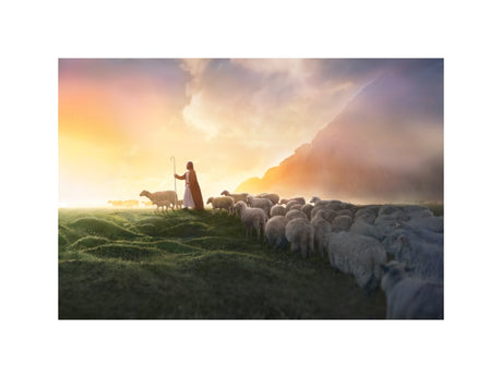Greener Pastures