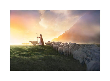 Greener Pastures