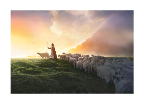 Greener Pastures