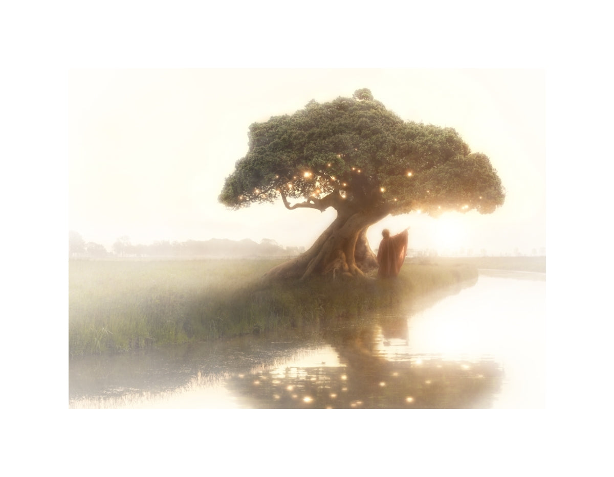 Weary Traveler