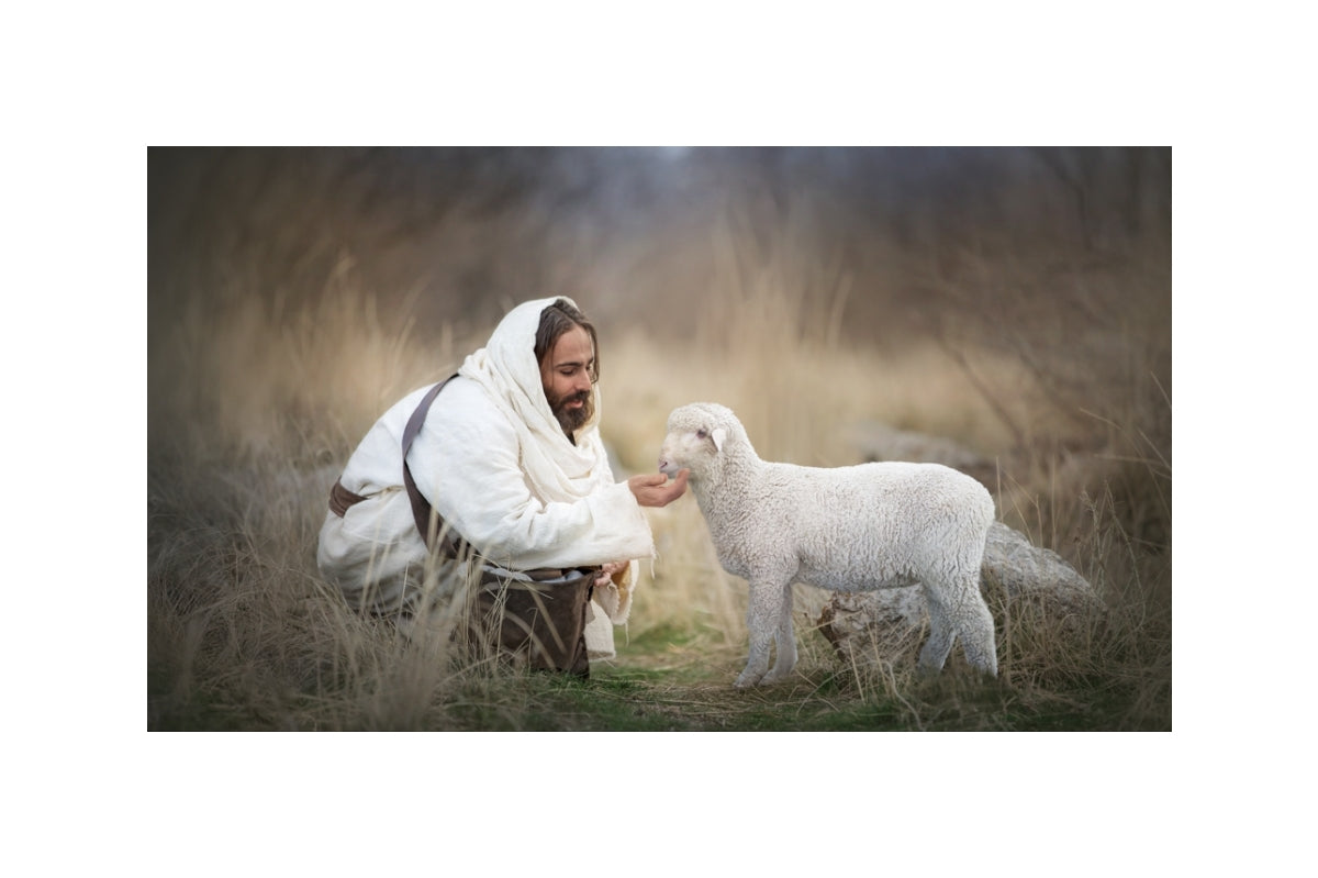 Without Price