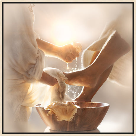 The Transfer