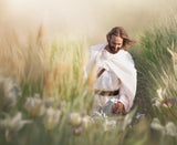 Smiling Christ walking through a sunlit field of tall grass, his white robes blowing in the wind as he holds a single white lily.