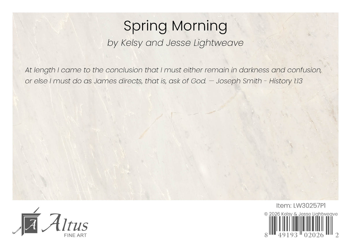 Spring Morning