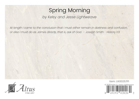 Spring Morning