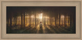 Young Joseph Smith kneeling in a grove of trees with light shining through.  Art 12