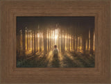 Young Joseph Smith kneeling in a grove of trees with light shining through.  Art 9