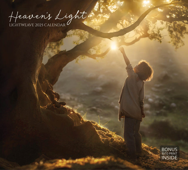 Heavens Light Calender Cover In Which Young child reaching toward light filtering through a tree’s branches, creating a serene, glowing scene of nature.