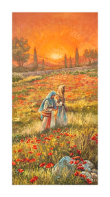 Dawn of Redeeming Grace