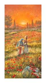 Dawn of Redeeming Grace