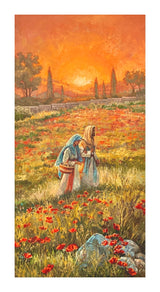 Dawn of Redeeming Grace