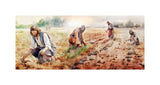 The Sower