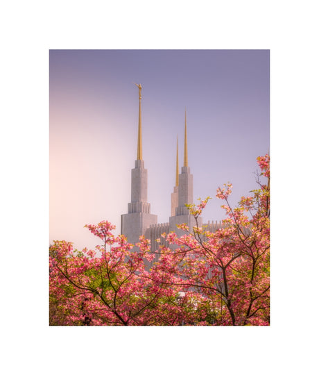Washington DC Temple - Spires and Blooms