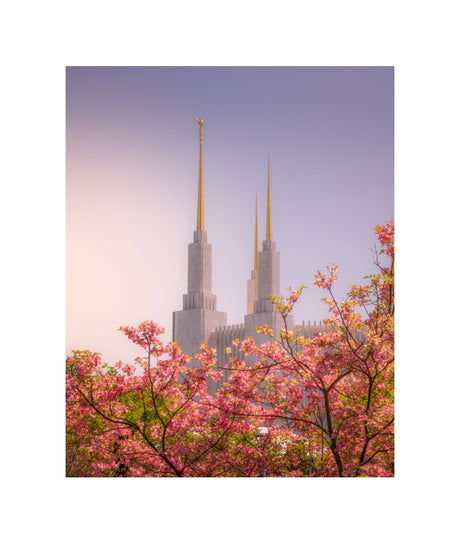 Washington DC Temple - Spires and Blooms