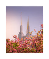 Washington DC Temple - Spires and Blooms