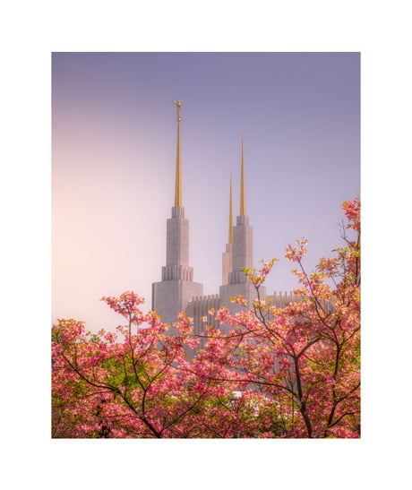 Washington DC Temple - Spires and Blooms